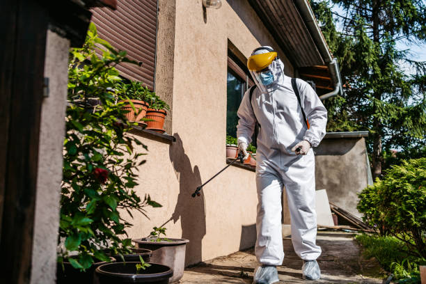 Best Wasp Removal Services  in Greenbriar, FL