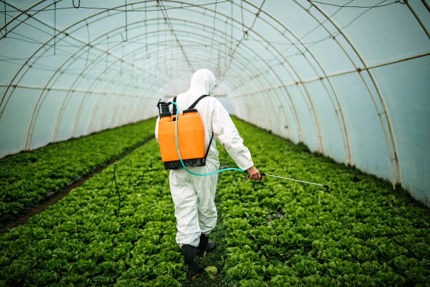 Best Best Pest Control Companies  in Greenbriar, FL