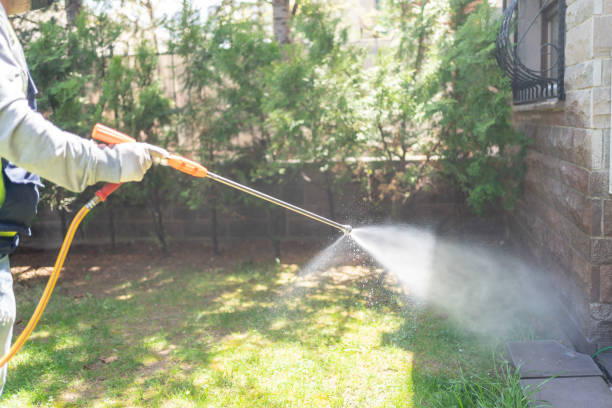 Spider Control Near Me in Greenbriar, FL