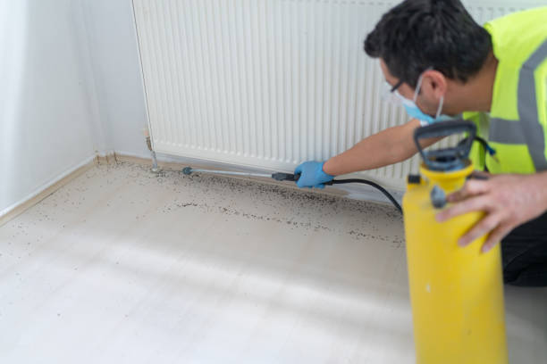 Best Affordable Pest Control Services  in Greenbriar, FL