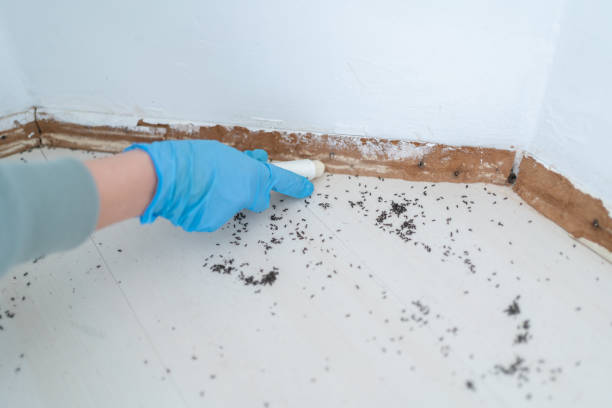 Best Residential Pest Control  in Greenbriar, FL