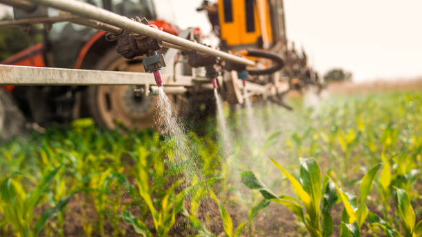 Best Commercial Pest Control Services  in Greenbriar, FL
