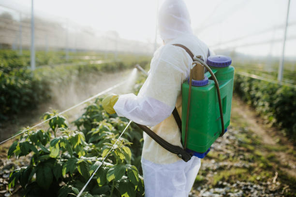 Best Pest Inspection Near Me  in Greenbriar, FL